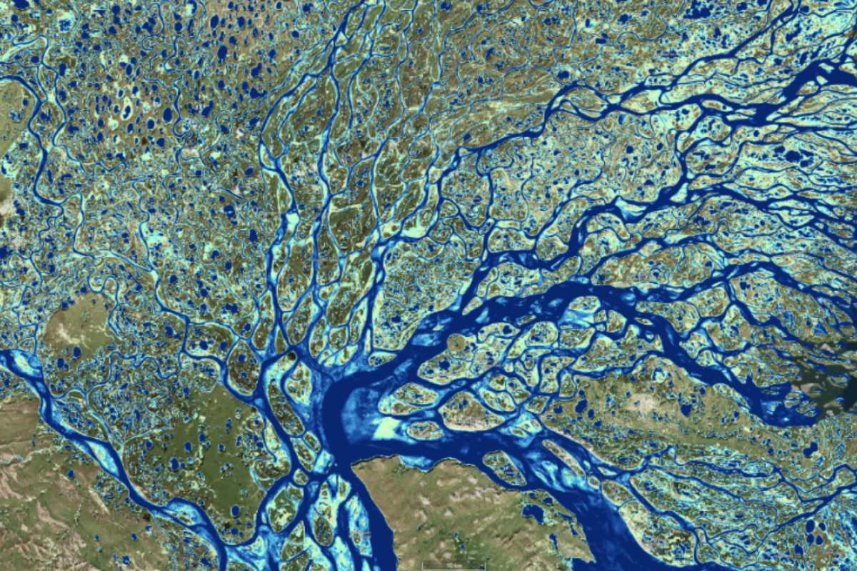 snaking river deltas