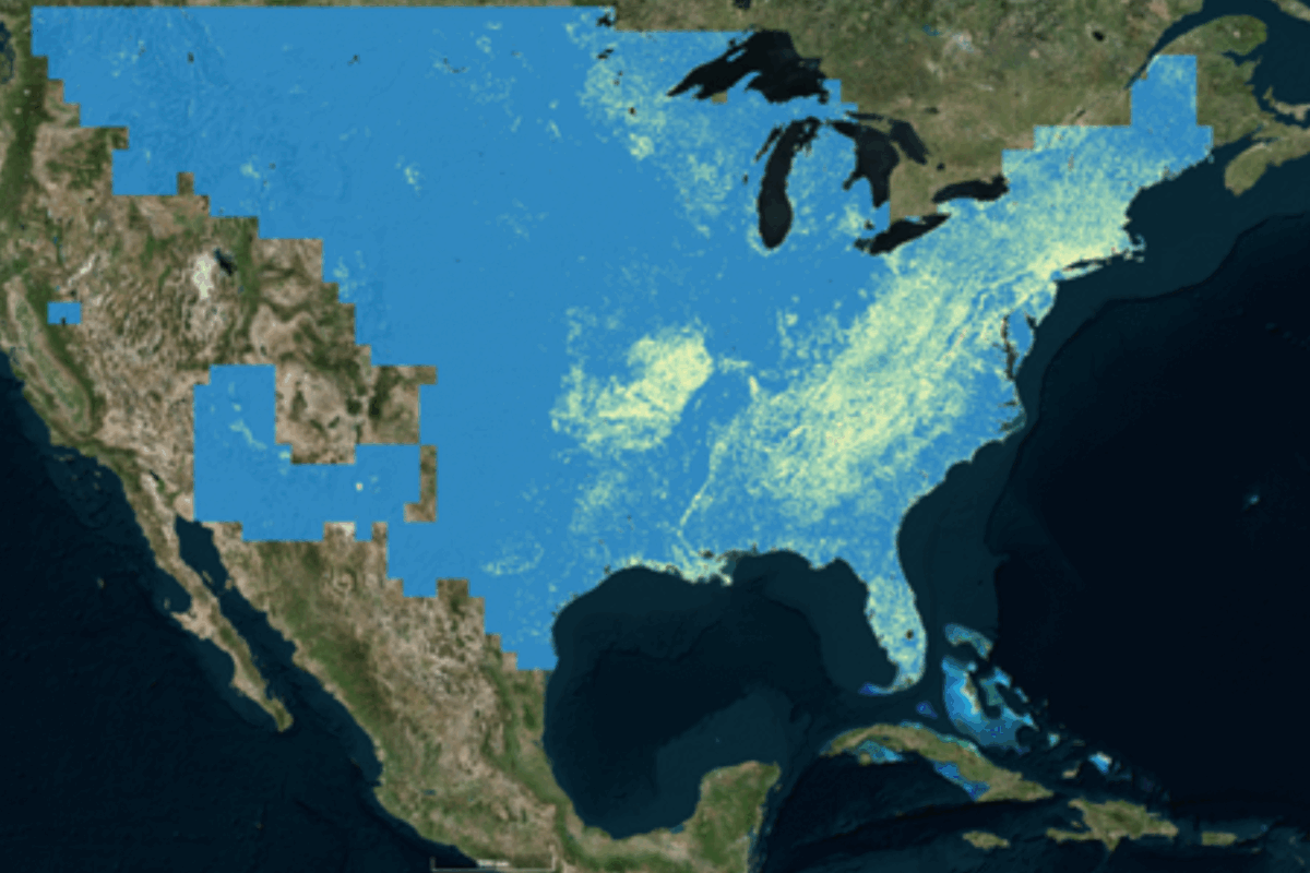 Species and habitat satellite data product