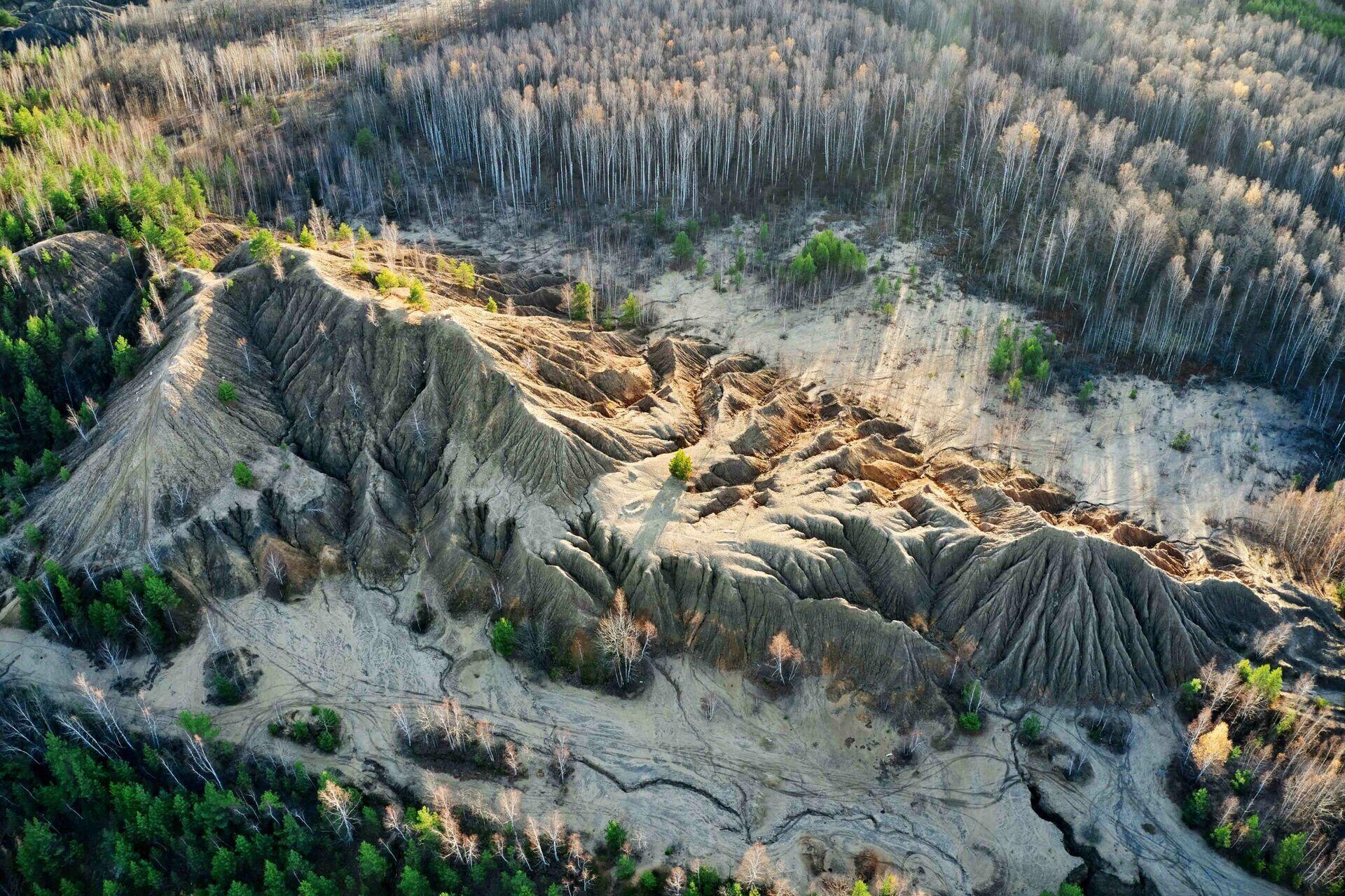 Terrain & Elevation Data Products | terraPulse