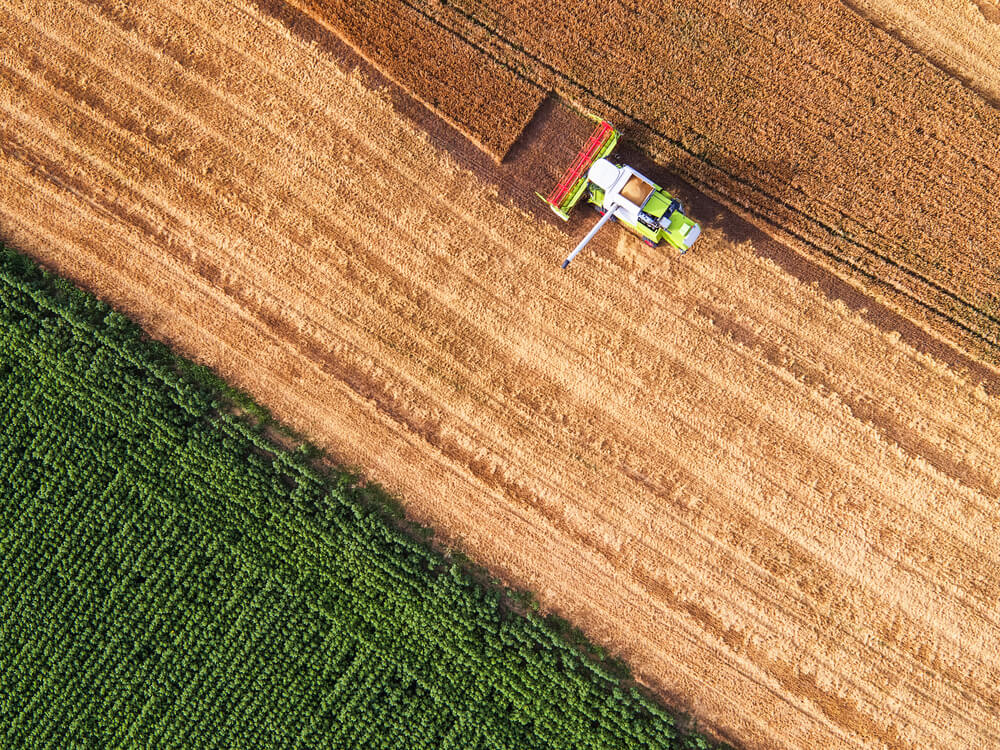 non tilled agricultural