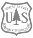 united states forest