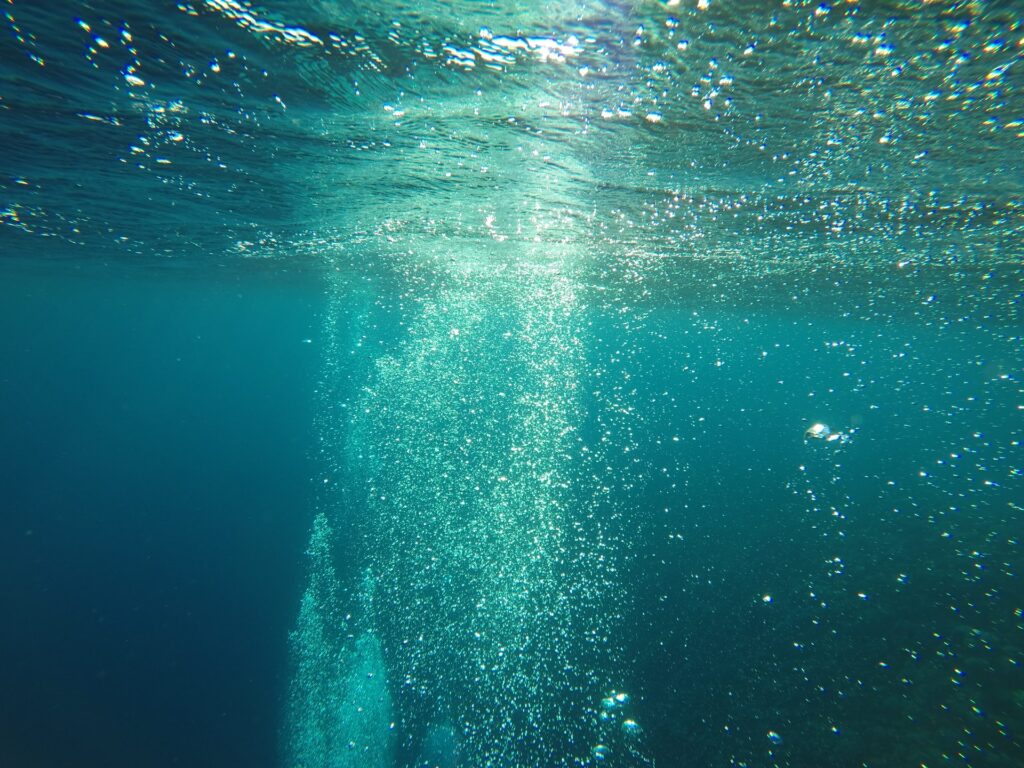 underwater view of